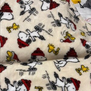 Snoopy and Woodstock Skating Blanket
